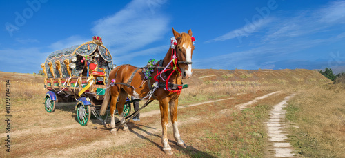 horizontal banner with horse and carriage festive in the field