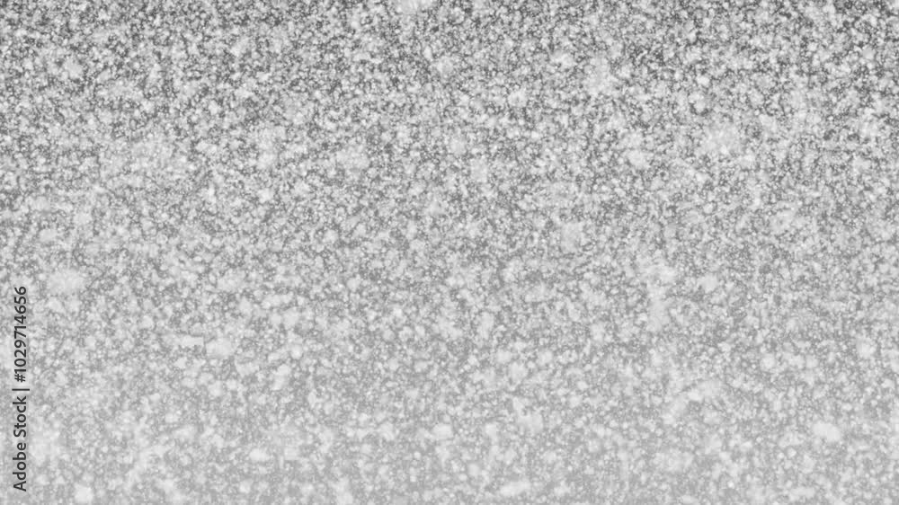 Snow background loop. Winter, Christmas. Snow background loop. Winter, Christmas.