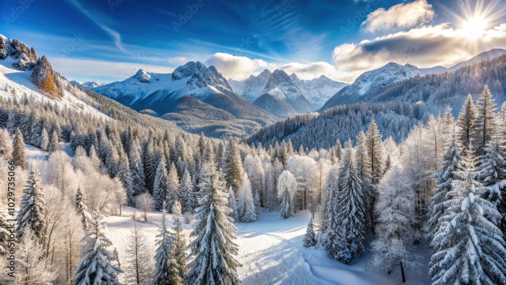 Panoramic view of a snowy mountain forest in northeast Italy, daytime, winter season, snow, forest, mountain, Italy, landscape Panoramic view of a snowy mountain forest in northeast Italy, daytime, winter season, snow, forest, mountain, Italy, landscape