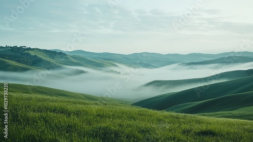 Serene View of Misty Rolling Hills Landscape