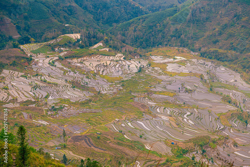 Close up on the beautiful layers of Laohuzui terraces in Yuanyang, Yunnan, China photo