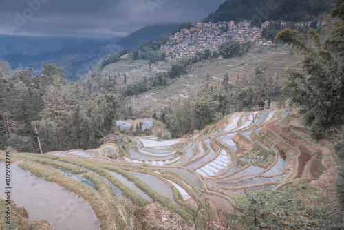 Close up on terraces full of water in Yuanyang, Yunnan, China. Different colors photo