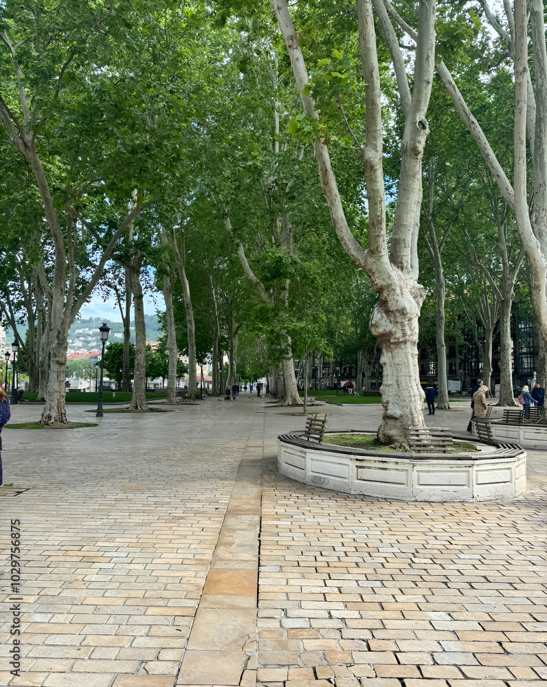 Obraz premium statue in the park