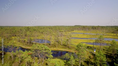 Pan across beautiful flatland area with many ponds photo