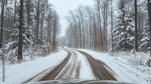 Snowy Forest Road