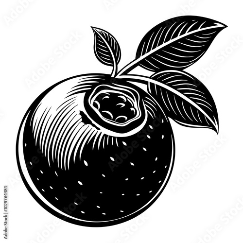 blue berry silhouette 
vector art