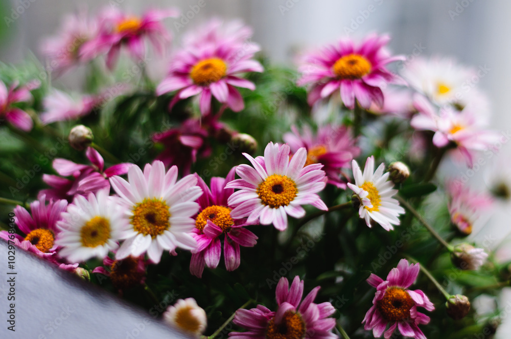 bouquet of flowers bouquet of flowers