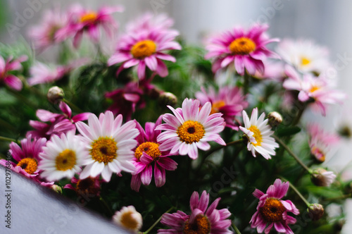 bouquet of flowers