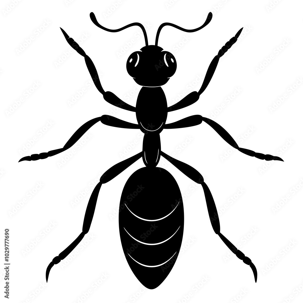 ant silhouette vector isolated on a white background ant silhouette vector isolated on a white background
