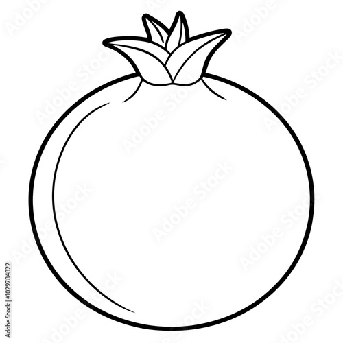  Pomegranate vector illustration 