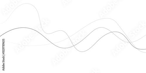 Vector illustration of the pattern of the gray lines abstract background.  curve lines. Amazing three dimensional background for presentation,