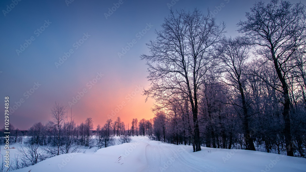 Winter morning in the forest. Winter morning in the forest.