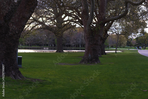 Chilling Lake Scene with Brooding, Shadowy Trees