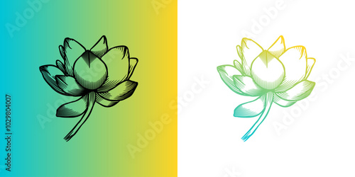lotus flower tattoo, engraving hand drawn doodle. lotus flowers on a white and gradient background. black line lotus flower and colorful gradient line lotus. Flower for creating various designs