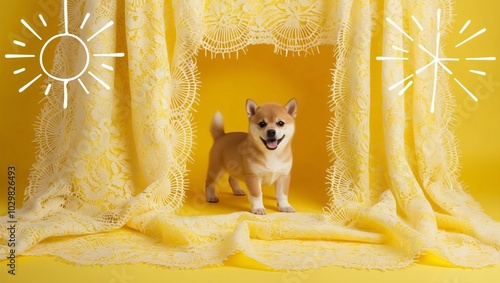 Playful Puppy Behind Bright Yellow Lace Curtain photo