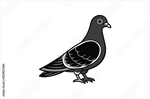 pigeon vector,  icon vector illustration, pigeon silhouette of a pigeon isolated on a white background, eps, png, svg,  vector,
