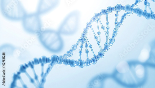DNA chromosome double helix structure
