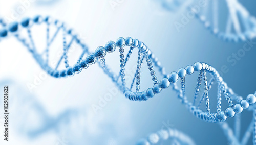 DNA chromosome double helix structure