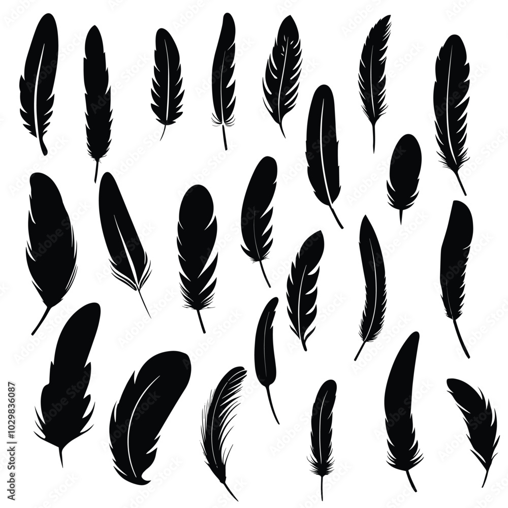 Silhouette Feathers Illustration Silhouette Feathers Illustration
