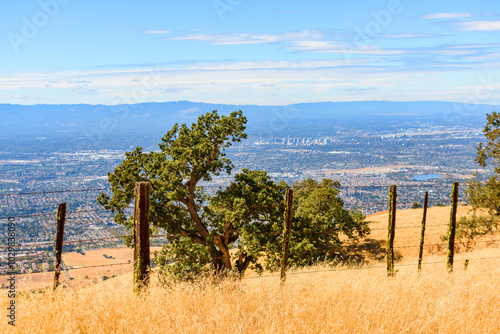 A barbed wire fence runs through golden grass on a hillside in Joseph D. Grant County Park, overlooking Silicon Valley and distant mountains under a clear blue sky photo