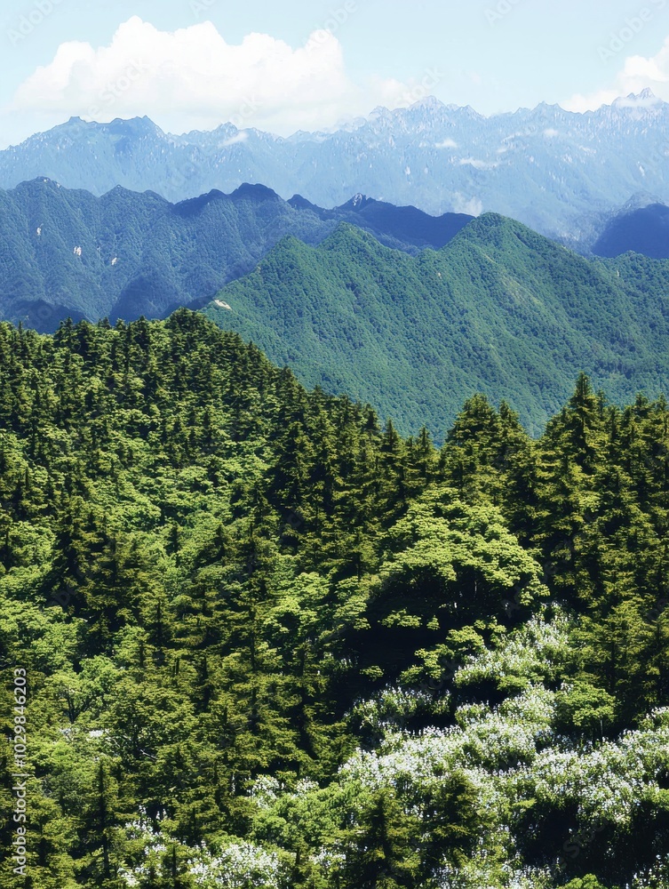 Obraz premium Breathtaking mountain landscape featuring lush greenery and distant peaks under a clear blue sky, perfect for nature lovers.