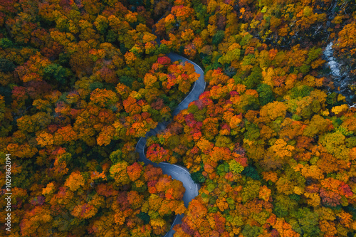 Photography Scenic Stowe Vermont Fall Foliage Forest Road