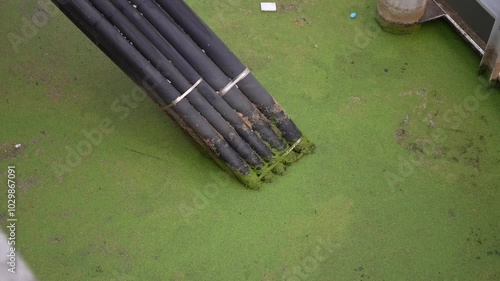 Green water and industrial pipes in a polluted river with algae, in European city
