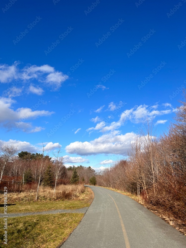 Fototapeta premium A trail in the forest