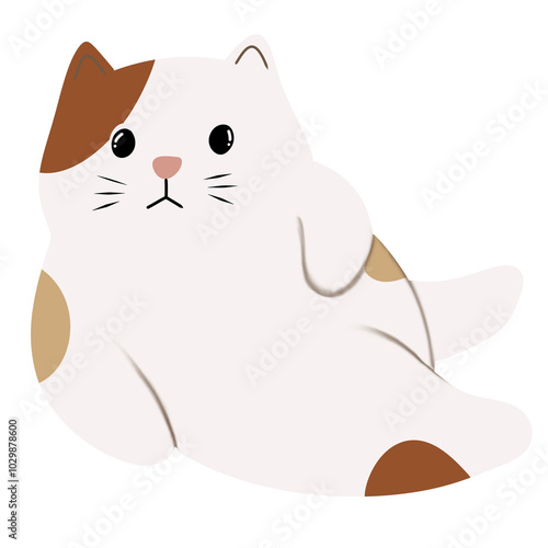 it's About Cat