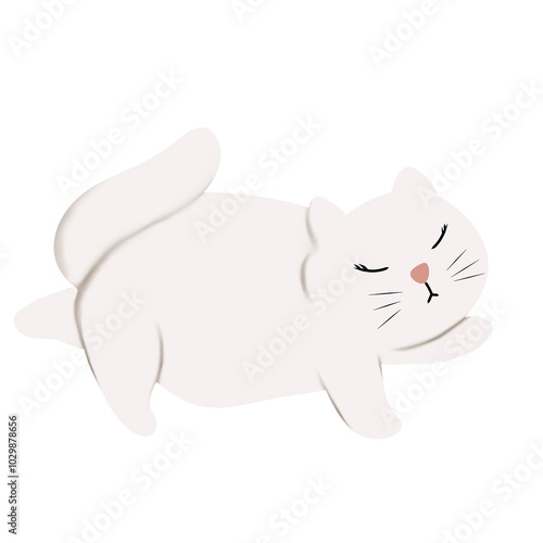 it's About Cat