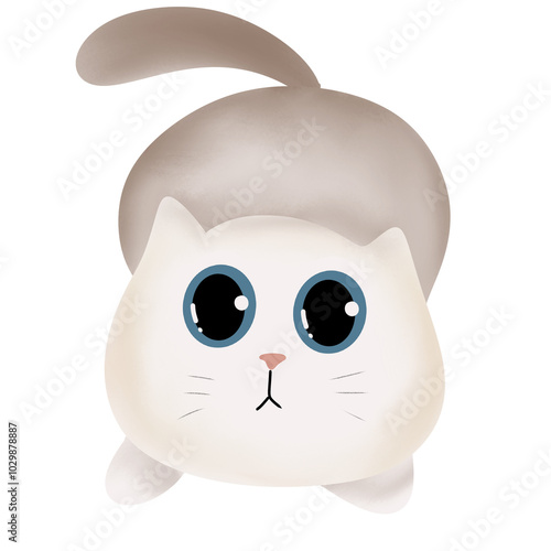 it's About Cat