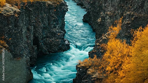 A rushing river carves its way through a rocky canyon in Iceland, with golden foliage flanking the banks