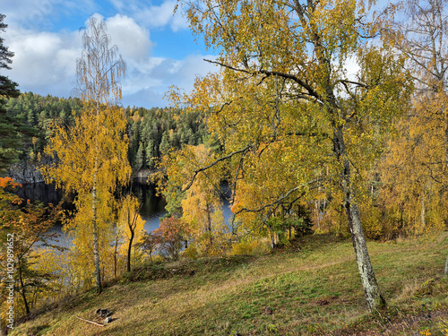 Photography Autumn