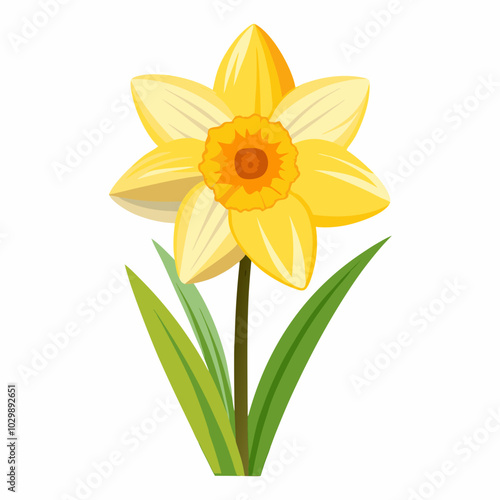 realistic Daffodil flower 