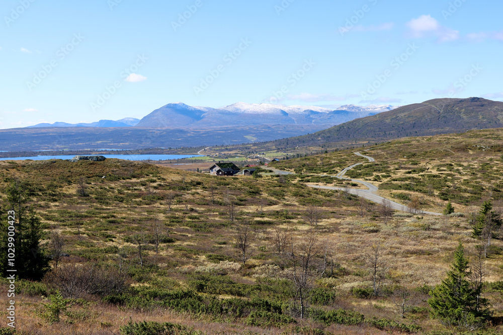 Fototapeta premium Landscape