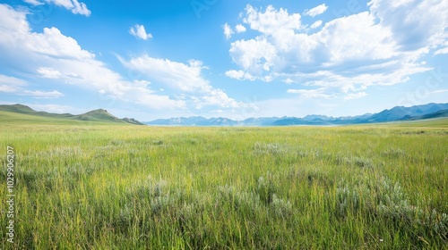 A serene landscape featuring vast green grasslands under a bright blue sky with fluffy clouds and distant mountains.