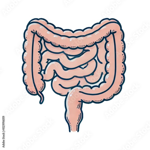 large bowel	大腸