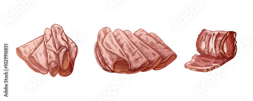 Hand-drawn colored vector sketch of  pork meat, ham slice, prosciutto vintage sketch. Butcher shop.