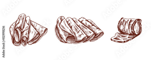 Hand-drawn monochrome vector sketch of  pork meat, ham slice, prosciutto vintage sketch. Butcher shop.