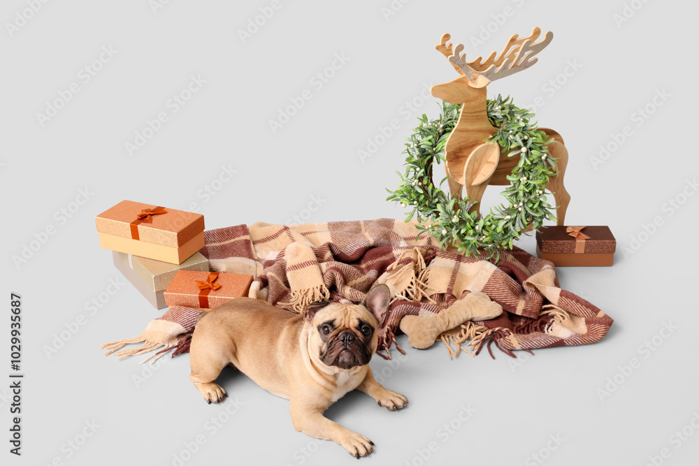 Fototapeta premium Cute pug dog with gift boxes, plaid and Christmas decorations on grey background