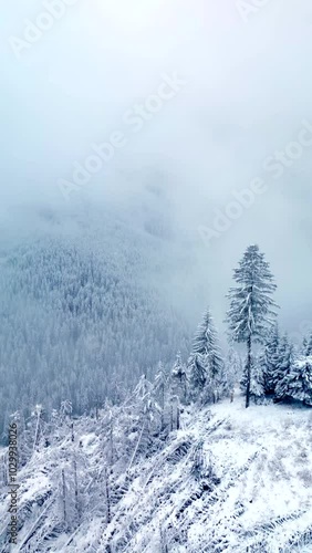 Wallpaper Mural Calimani - 12 Apostoli - Romania Torontodigital.ca