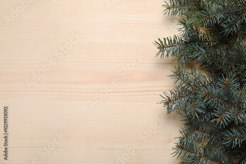 Beautiful fir branches on b...