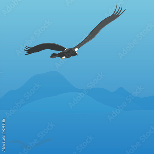 Steller's sea eagle fly. Bird vector illustration flat style	