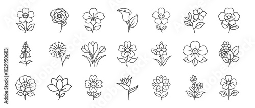 Flowers line icon set. Vector pictograms of magnolia, dandelion, crocus, calla lily, various flower species - azalea, anemone, bird paradise, thin linear illustration.