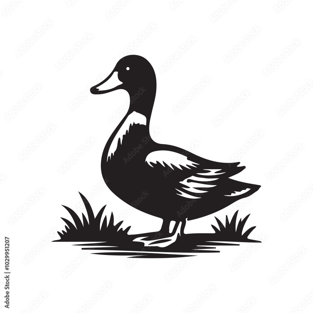 Obraz premium Standing Cute Duck Silhouette Images