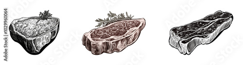Vector illustration featuring three different cuts of raw beef steaks with rosemary garnish, ideal for culinary and food packaging designs. Generative AI.