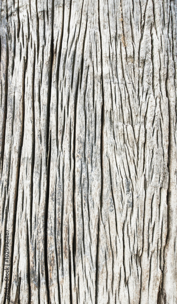 old wood texture background, the color has naturally faded and has flaws over time. old wood texture background, the color has naturally faded and has flaws over time.
