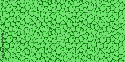 Plant cells template background vector illustration. Leaf structure seamless pattern. Green plant chlorophyll texture for organic wallpapers, eco, agro and scientific design. seeds repeated backdrop.