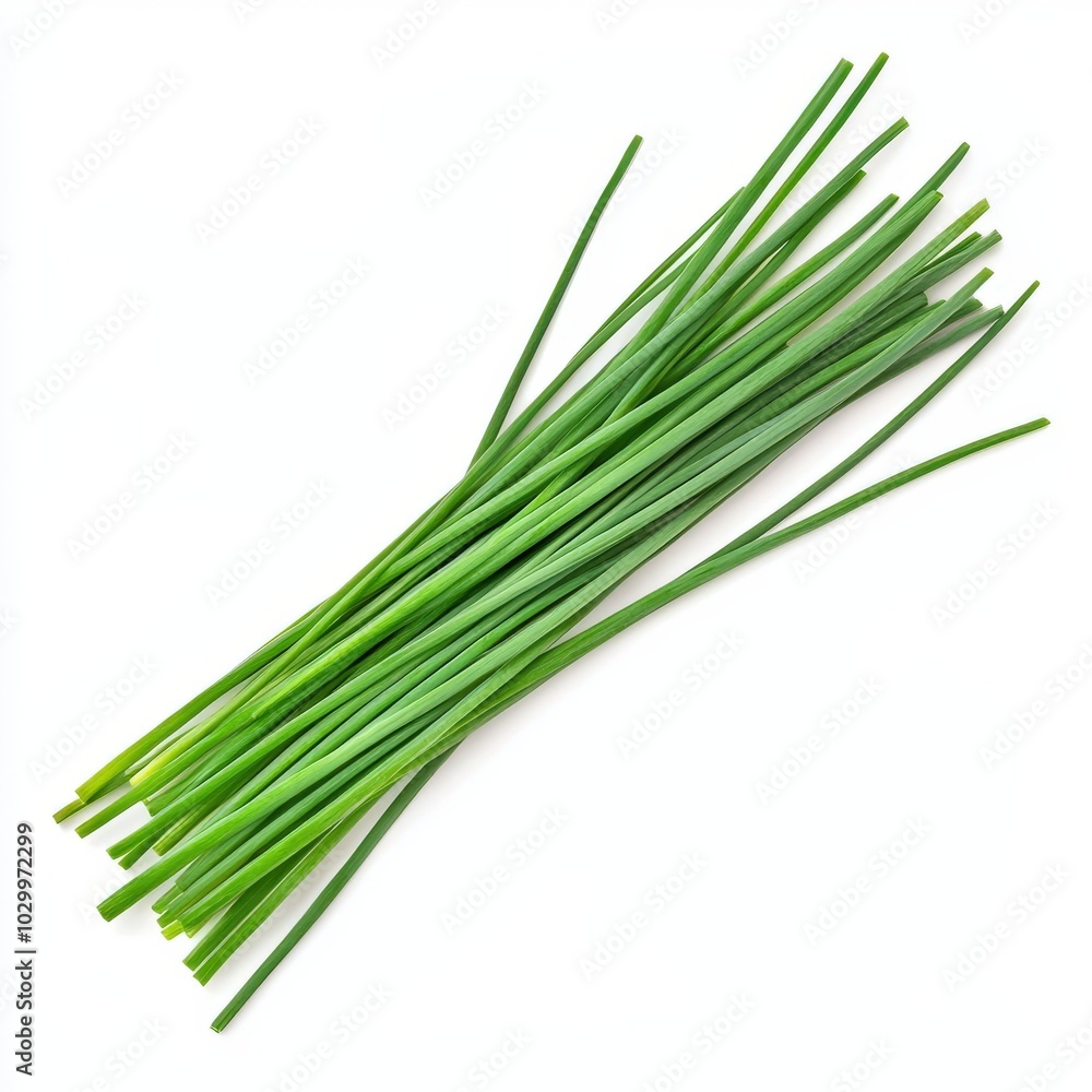 Fresh green chives on a white isolated background Fresh green chives on a white isolated background
