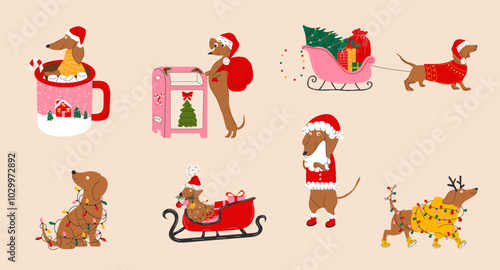 Set of dachshund dogs with christmas decorations. Happy holiday